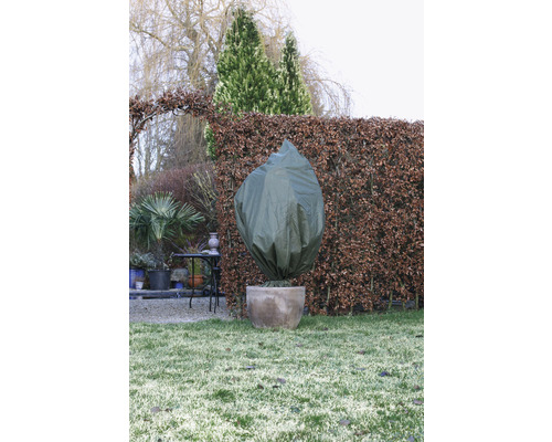 Ingemaakte plant met winterhoes in de tuin.