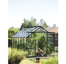 Kas met planten en een persoon in de tuin.