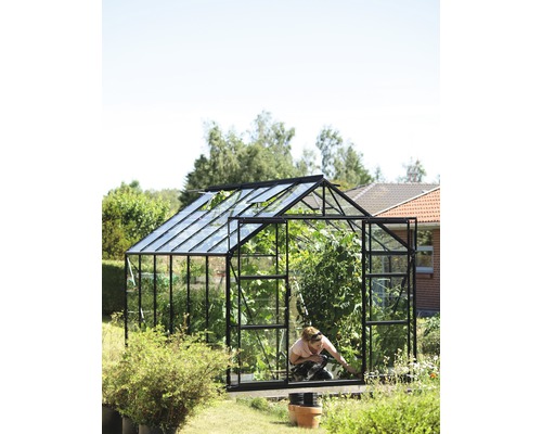 Kas met planten en een persoon in de tuin.