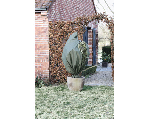 Plant in pot met winterbeschermingshoes in de tuin.