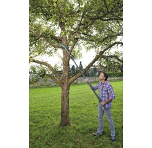 Man snoeit boom met een takkenschaar met steel in een tuin.