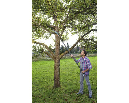 Man snoeit boom met een takkenschaar met steel in een tuin.