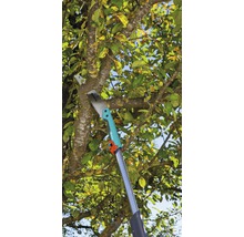 Tuinzaag met telescopische steel snijdt tak aan een boom.