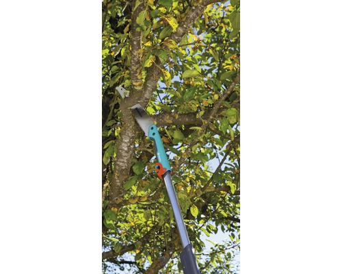 Tuinzaag met telescopische steel snijdt tak aan een boom.