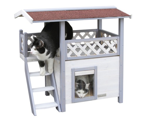 Kattenhuis met twee verdiepingen en twee katten