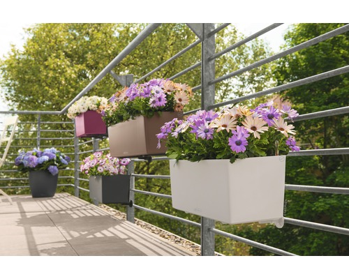 Verschillende bloembakken met verschillende kleuren, beplant, op het balkonhek