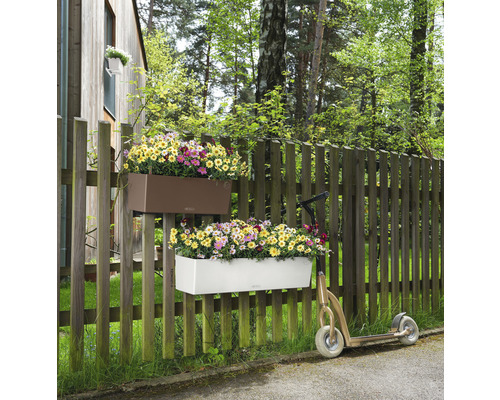 Twee bloembakken met kleurrijke bloemen hangen aan een houten schutting naast een step.