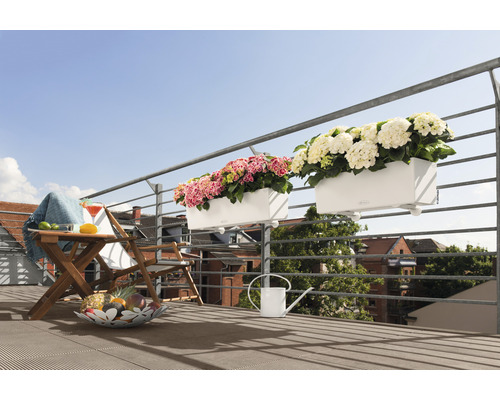 Balkonscène met tafel, stoel, drankje, fruitschaal, gieter en balkonbloembakken met planten