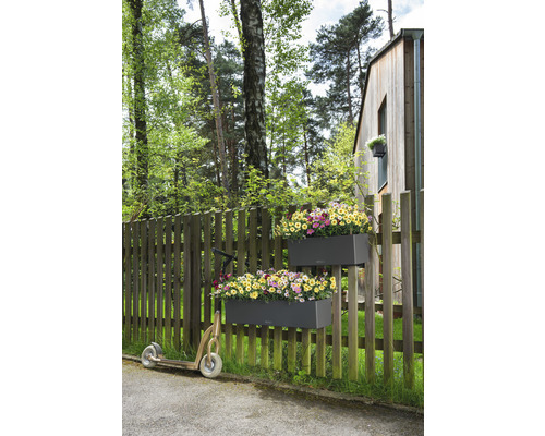 Scene met bloembakken aan het hek en een step in de tuin