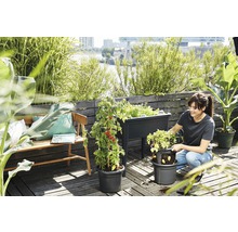 Tuinbeplantingsscène met verhoogde tuinbak, plantenbakken en vrouw op terras