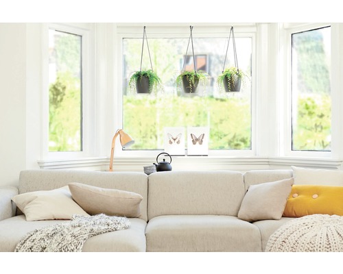 Lichte woonkamer met hoekbank, ramen en hangende kamerplanten