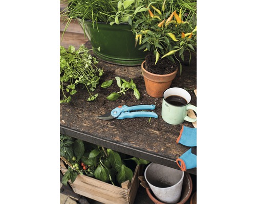 Tuinscène met kruiden, plantenbakken, tuinschaar en tuinhandschoenen op een tuintafel.