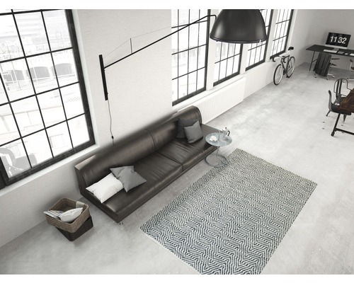 Woonkamer met bank, tapijt en bureau