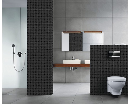 Badkamer met douche, wastafel, spiegel en wandcloset.