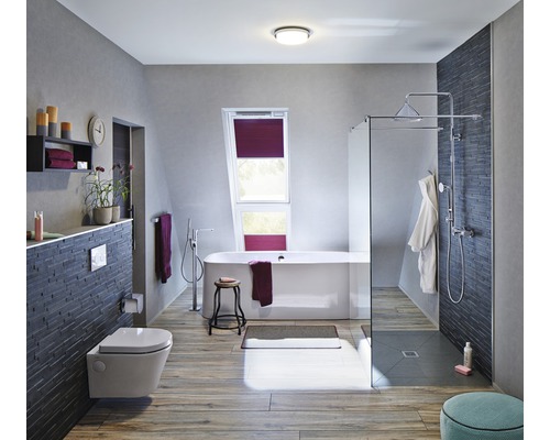 Lichte badkamer met bad, douche, toilet en raam