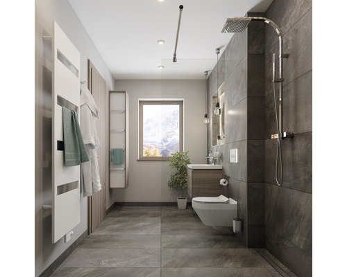 Moderne badkamer met douche, toilet, wastafel en handdoekradiator