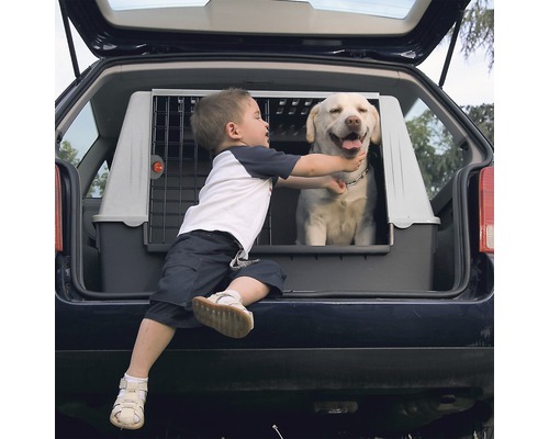 Jonge streelt hond in auto in hondenbox