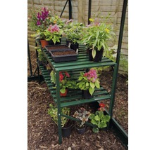 Groen kasrek met planten in potten.