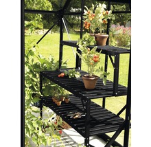 Kas met zwarte plank en planten
