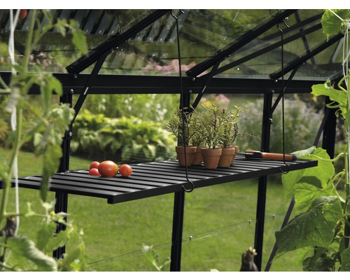 Kas interieur met plank, tomaten en kruidenpotten