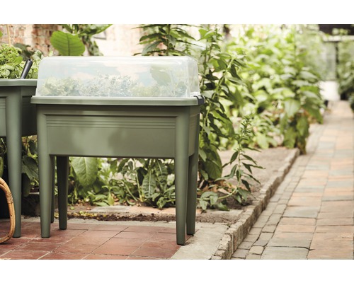 Verhoogde tuinbak met transparante afdekking in de tuin