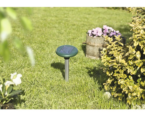 Mollenverjager met zonnepaneel in het gazon