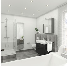 Badkamer met douche, wastafelonderkast, spiegelkast en bad