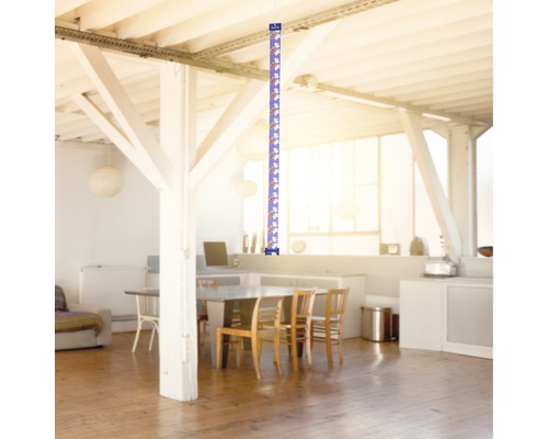 Sluierslingers in de kamer