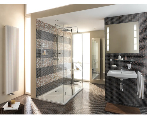 Lichte badkamer met douche, wastafel, spiegel en radiator