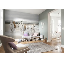 Woonkamer met fotobehang waarop een groep galopperende paarden op het strand te zien is, plus een fauteuil en vloerkleed
