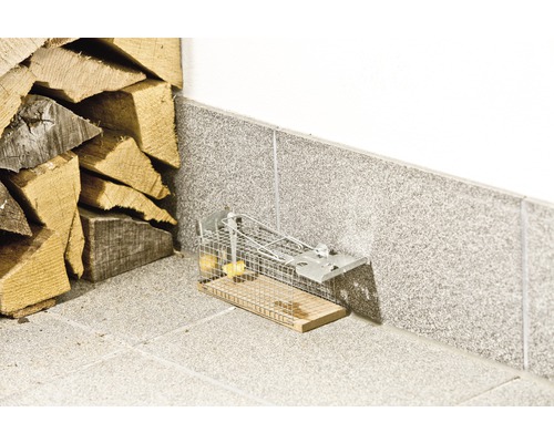 Levende muizenval van draadgaas met lokaas naast een stapel hout