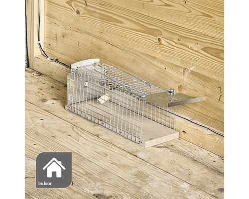 Levende val voor binnen