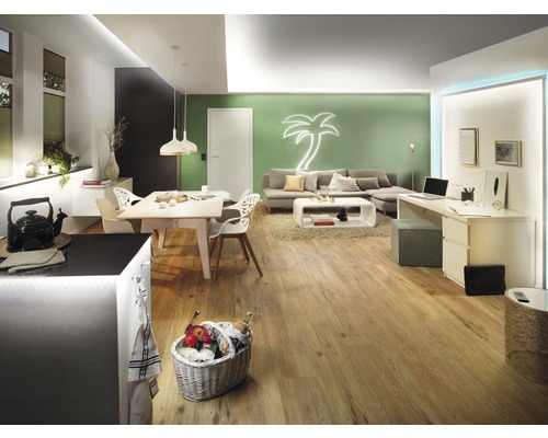 Lichte woonkamer met eettafel, bank, bureau en houten vloer