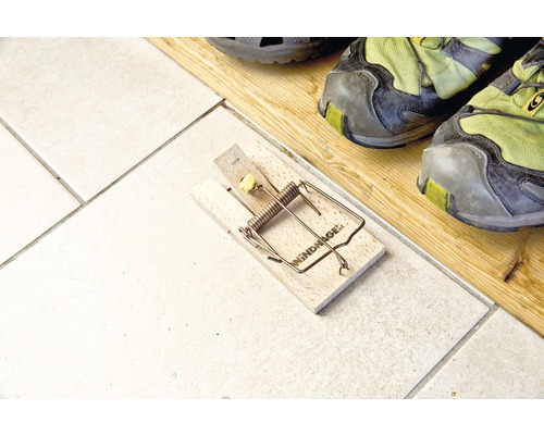 Houten muizenval met metalen mechanisme en lokaas