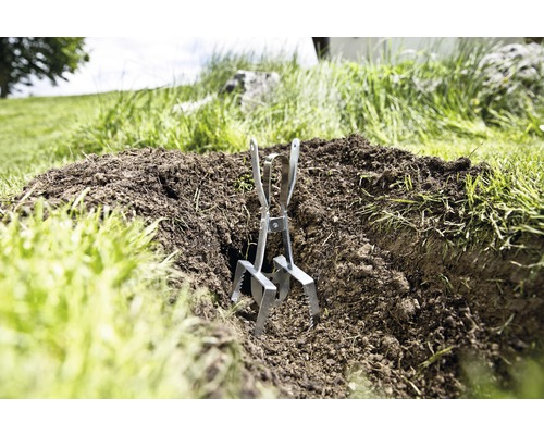 Muizenval in een gat in de grond in de tuin