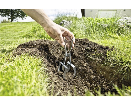Een mollenklem wordt in een molshoop op een weide geplaatst.