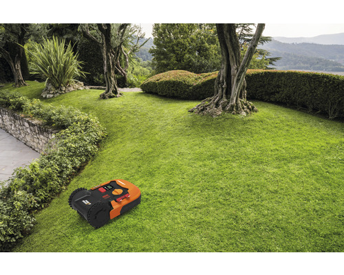 Robotmaaier op een gazon in een tuin met bomen en struiken