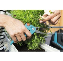 Een persoon snoeit groene planten in een plantenbak met een snoeischaar.