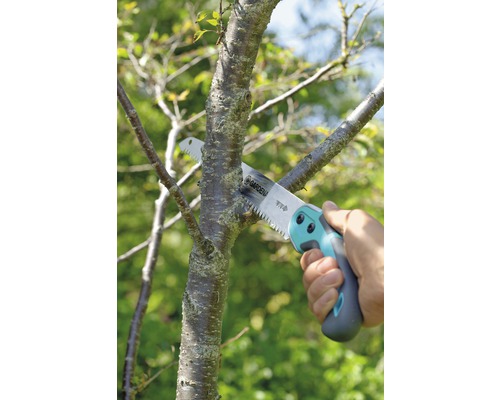 Tuinieren met een takkenzaag bij het snoeien van een boomtak