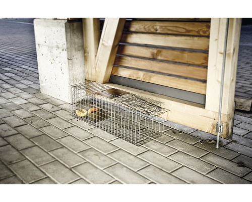 Levende val van draad met lokaas op straatstenen