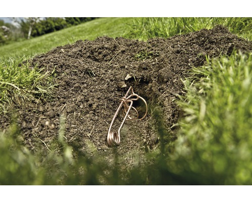 Muisval in een gat in de grond in de tuin