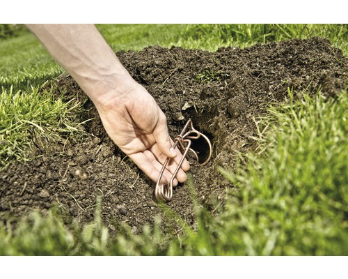 Een persoon plaatst een draadklem in een gat in de grond voor ongediertebestrijding.