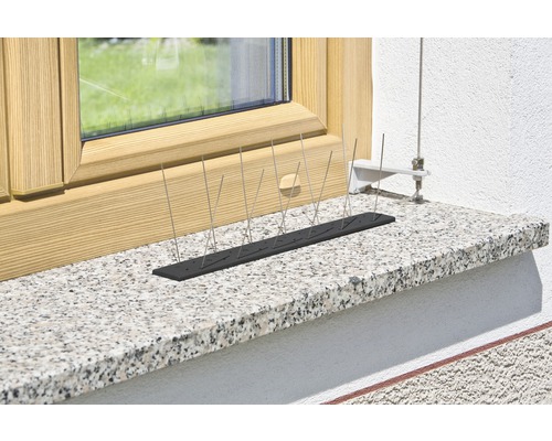 Duivenpinnen op een vensterbank voor vogelwering