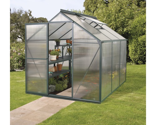VITAVIA Kweekkas Triton 3800 kanaalplaten 4 mm, met fundering 198x193 cm groen Kas met open deur en planten op planken in de tuin.