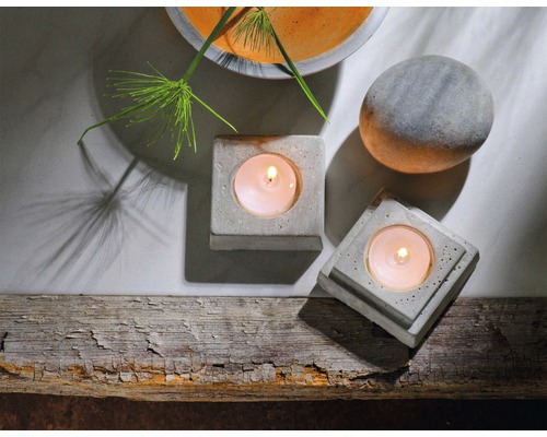 Scene met twee theelichthouders van beton, een stenen bol en een plant in een schaal