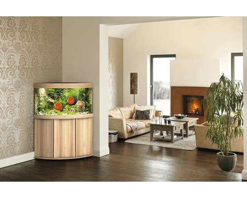 Hoekaquarium met vissen in een woonkamer