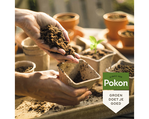 "Een persoon vult potgrond in een pot