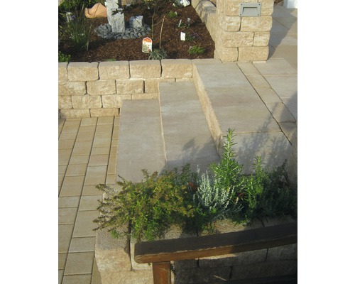 Ontwerpidee voor een tuin met straatstenen, treden en een muur.