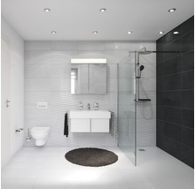 Lichte badkamer met douche, wastafel, spiegelkast en toilet