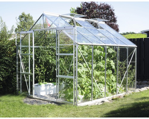 VITAVIA Kweekkas Uranus 8300 aluminium met enkel veiligheidsglas 3 mm 257 x 321 cm Kas met planten in de tuin.